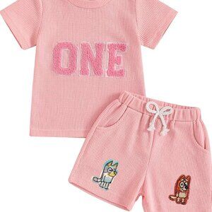 Pink Girl First Birthday Bluey Outfit Shirt Shorts Bluey Top Bingo Clothes